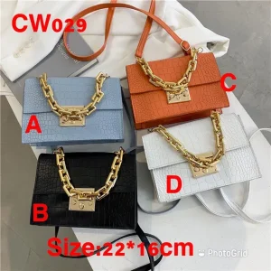Elegant ladies handbag